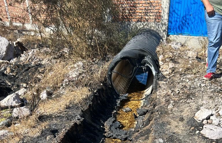 Incendio en manglar causa daños en la descarga de planta