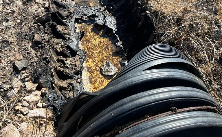 Incendio en manglar causa daños en la descarga de planta