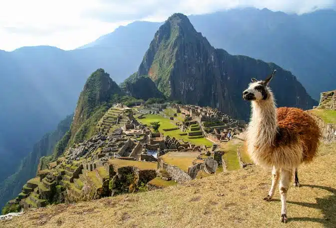 Informan sobre futura validez de boletos para ingresar al Machu Picchu, tras anunciarse el cierre