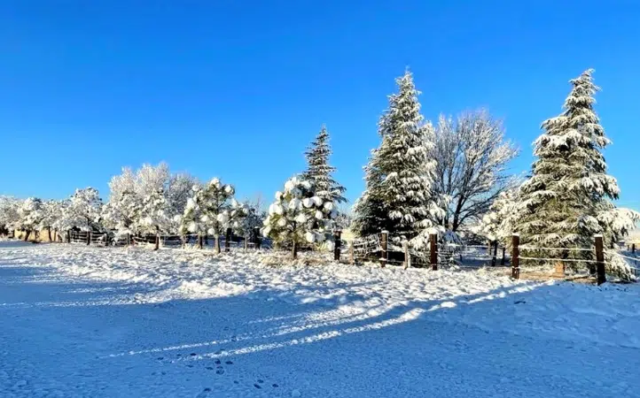 Nevada en Chihuahua