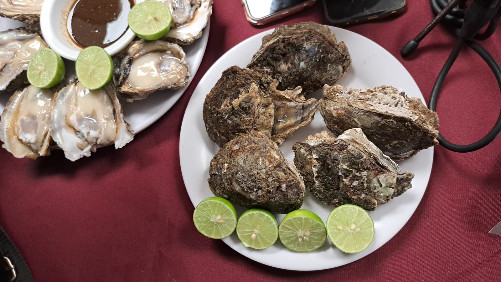Hasta 60 toneladas de ostiones por mes producen en Celestino Gazca