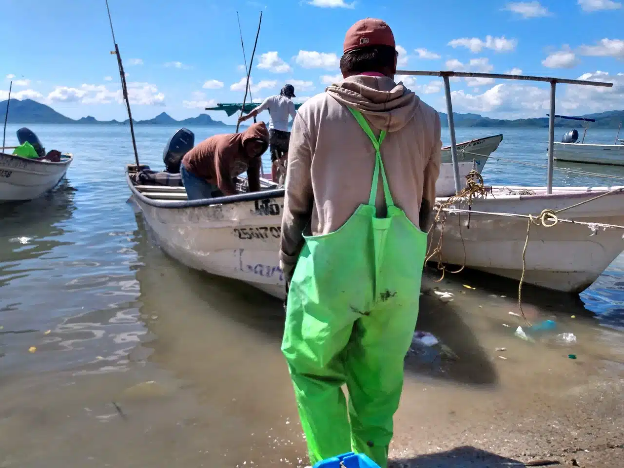 Pesca Cooperativas Pesqueras Guasave Pescadores
