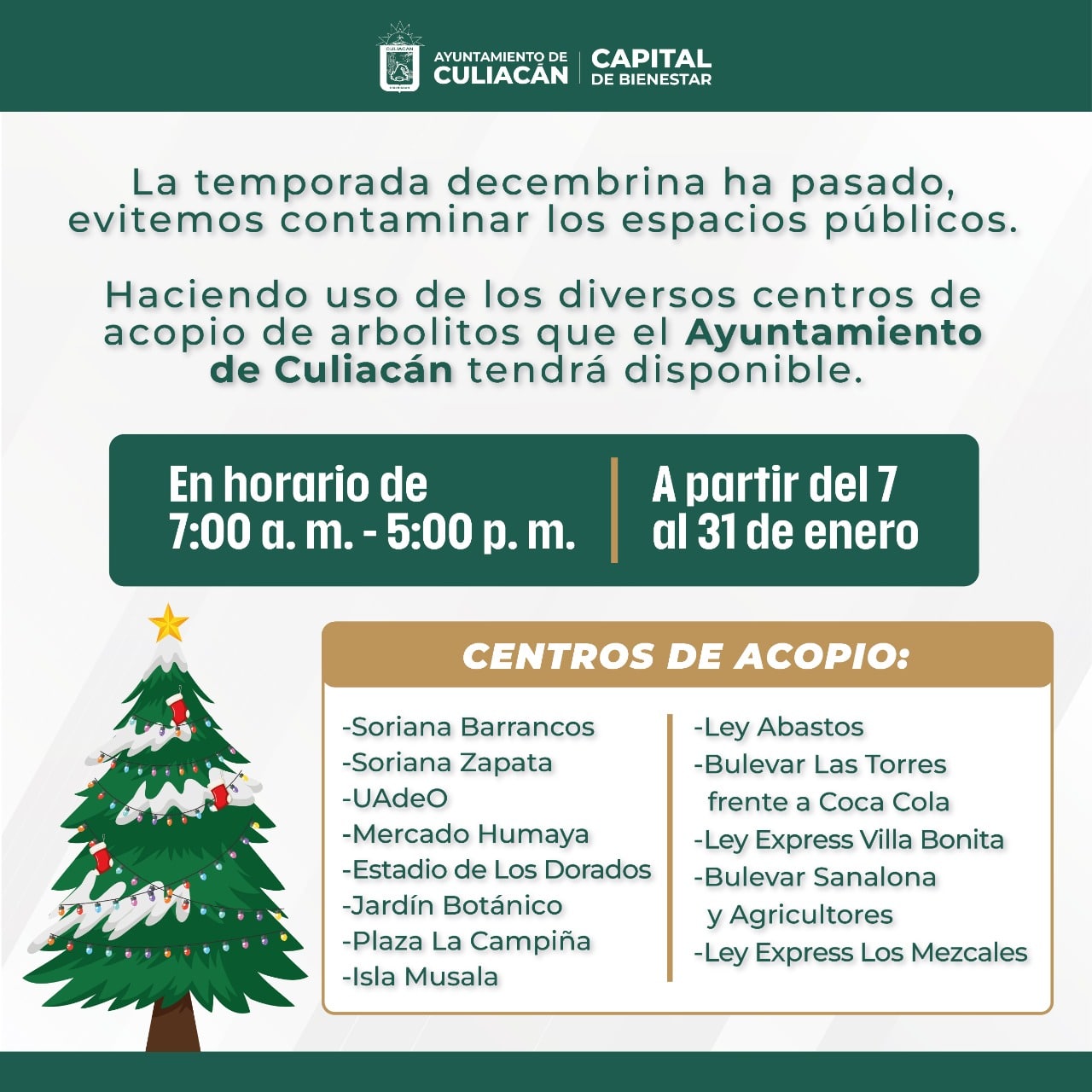 Pinos Navideños