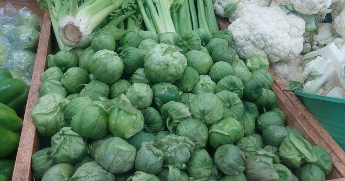 Precio tomatillo