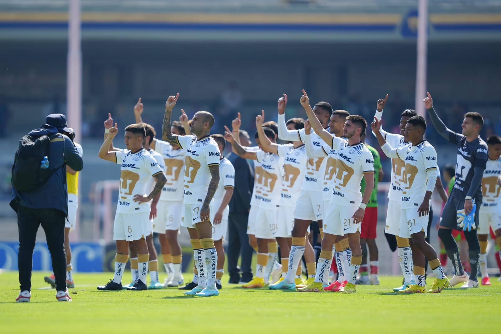 Pumas