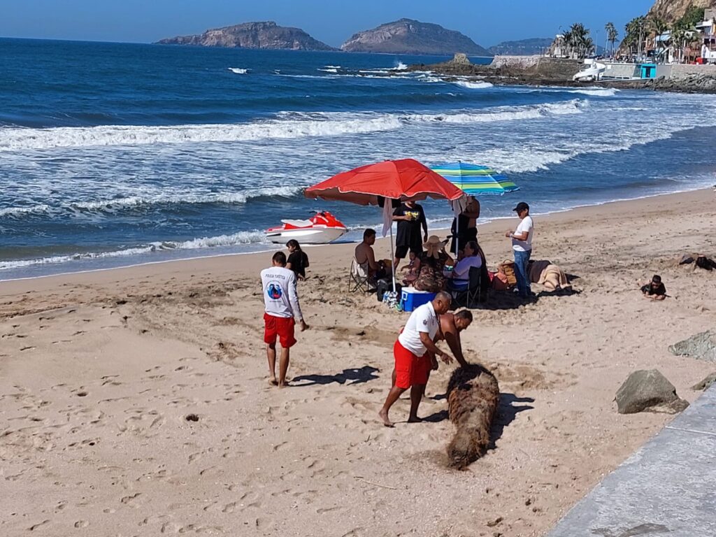 Rescate 2 Playa Olas Altas Mazatlán Policía Acuática