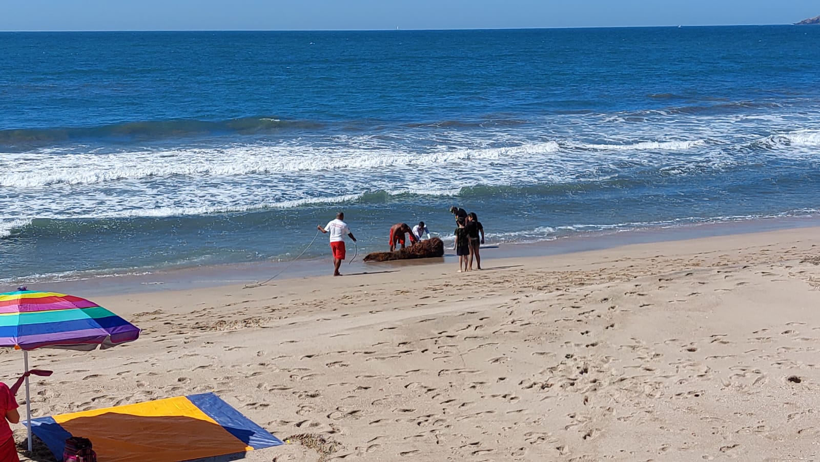 Rescate Playa Olas Altas Mazatlán Policía Acuática