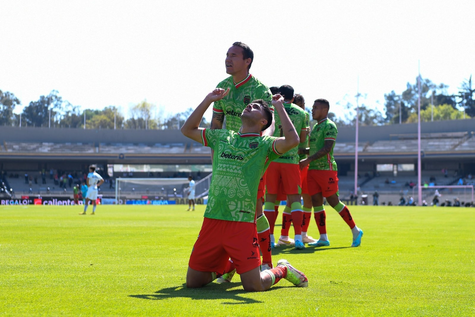 Sinaloenses Futbol Liga MX Varonil Femenil