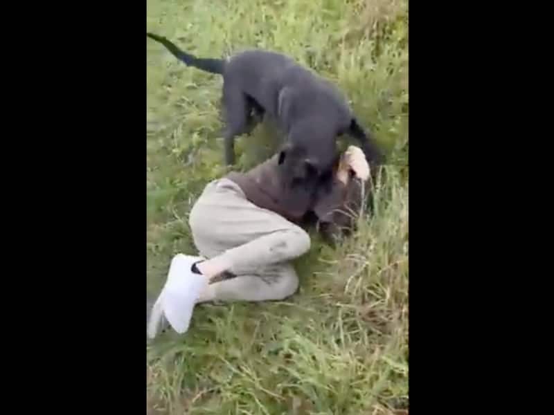 VIDEO: Hombre cita a menor de 12 años por internet; se lleva una sorpresa por el padre de la menor