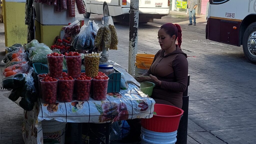 Venta ambulante Comercio Culiacán