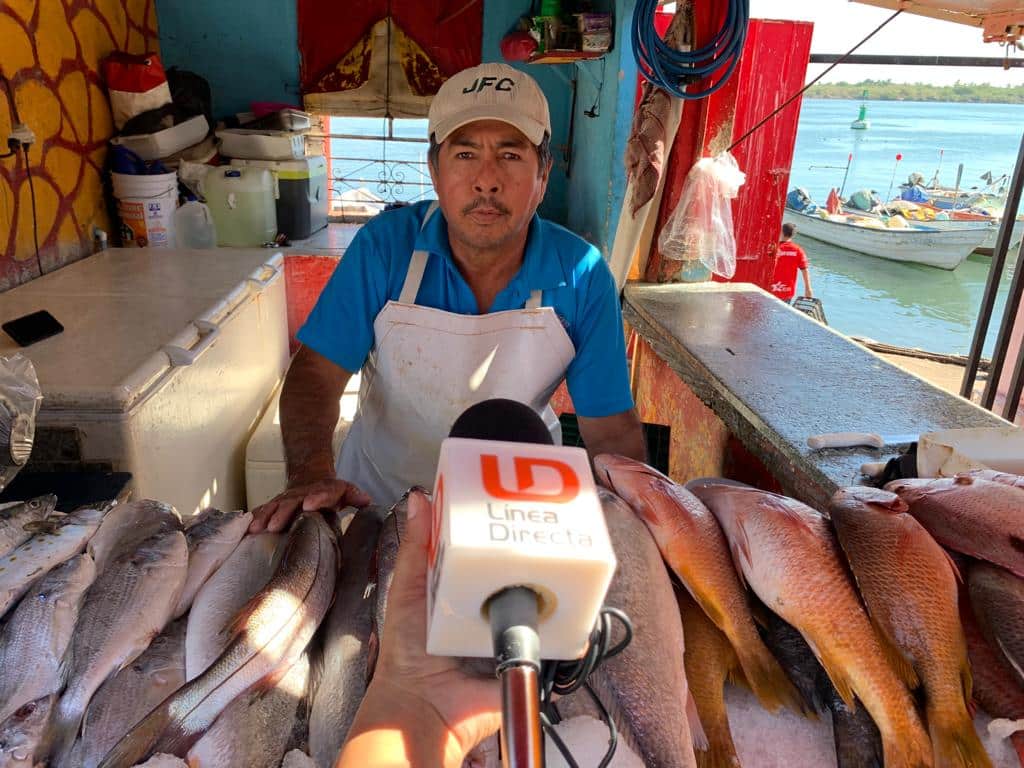 Ventas Mazatlán 5