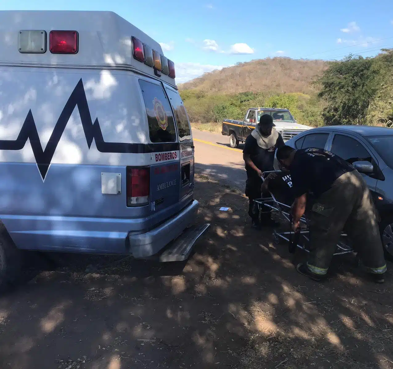 Dos adultos mayores fueron atacados por abejas mientras caminaban por una brecha en Mazatlán