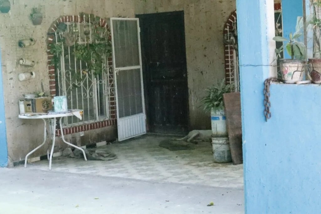¡Ya recibe atención veterinaria! Perro que agonizaba ya está siendo atendido: PC
