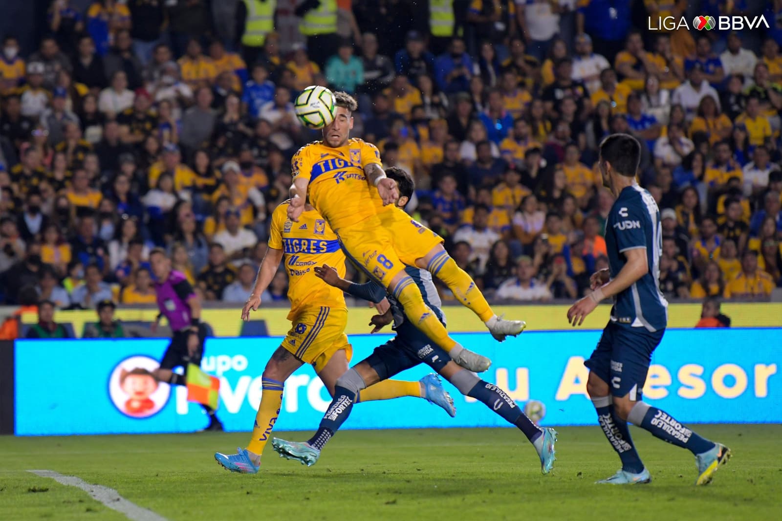 ¡Tigres intratables! Los regios golean a Pachuca