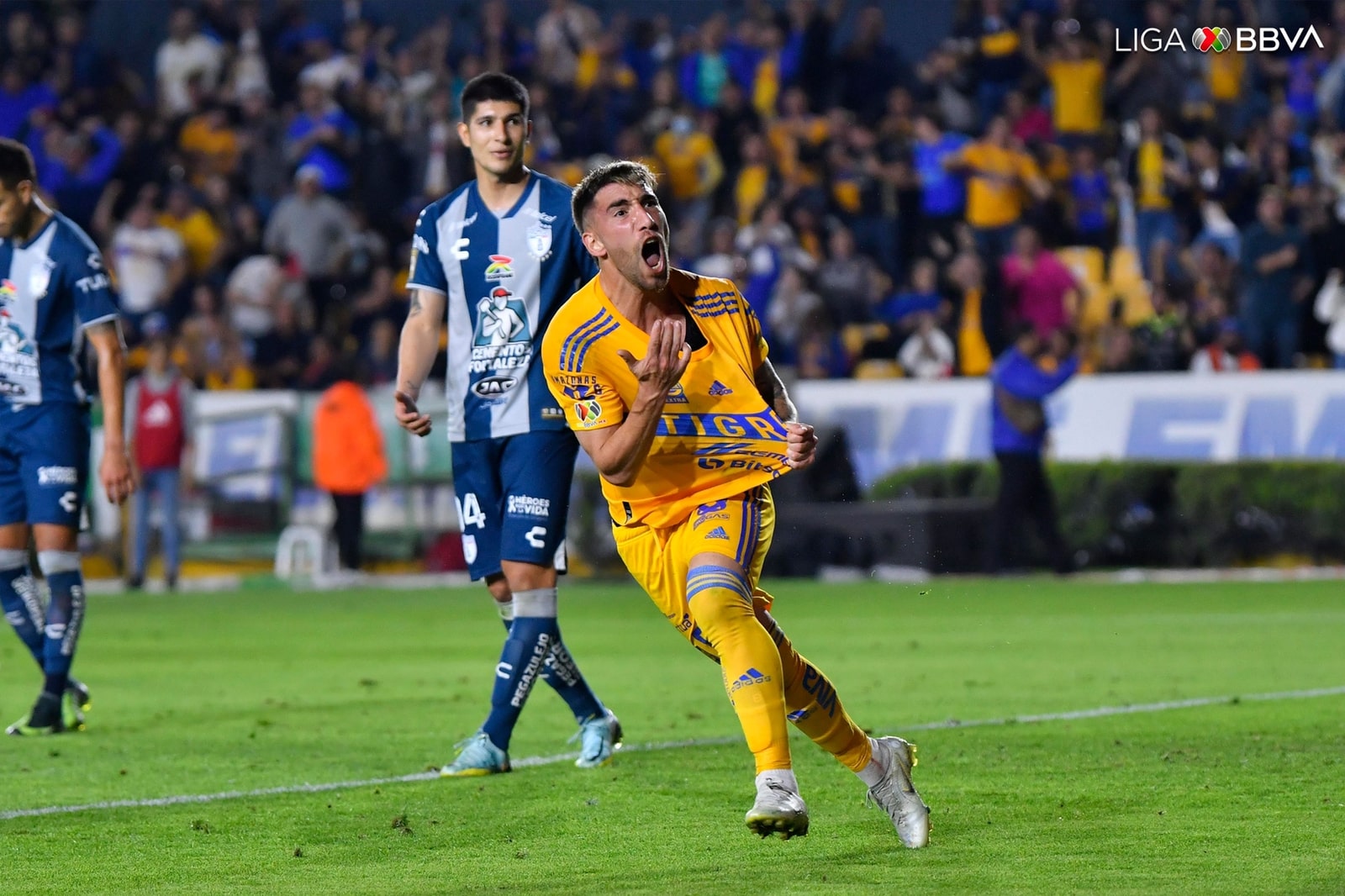 ¡Tigres intratables! Los regios golean a Pachuca