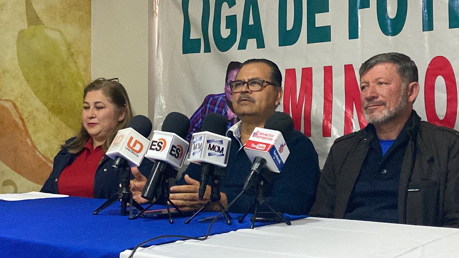 Liga de Fútbol Ejidal Mingo Vázquez
