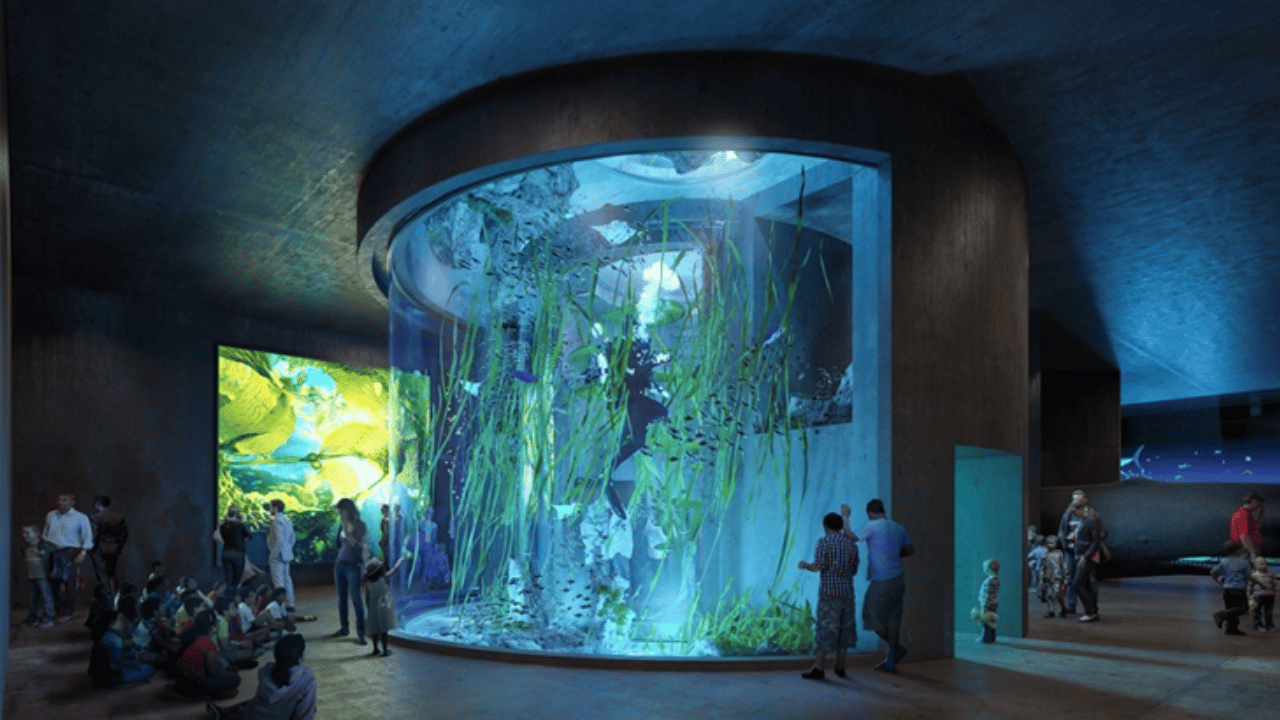 “Una ventana al mar”, de Acuario Mazatlán, deja huella en niños de comunidades rurales