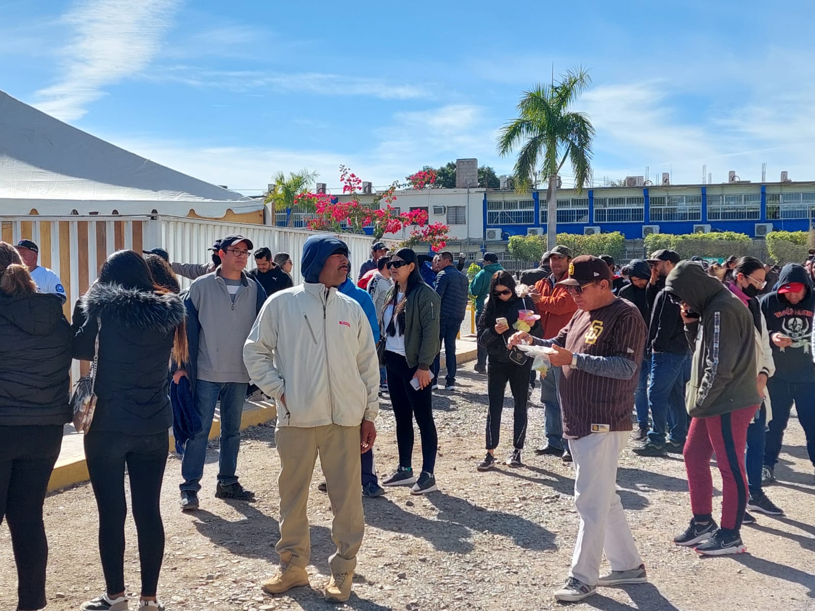 aficionados de Algodoneros de Guasave