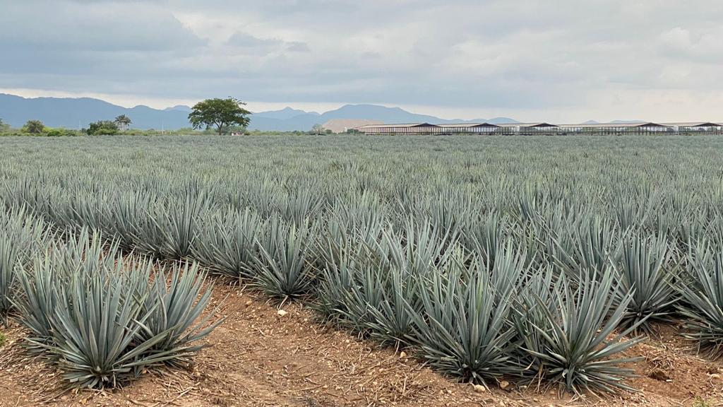 Turismo social en zonas rurales de Mazatlán