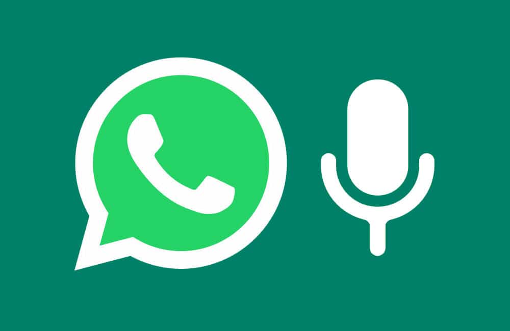 descargar audios whatsapp