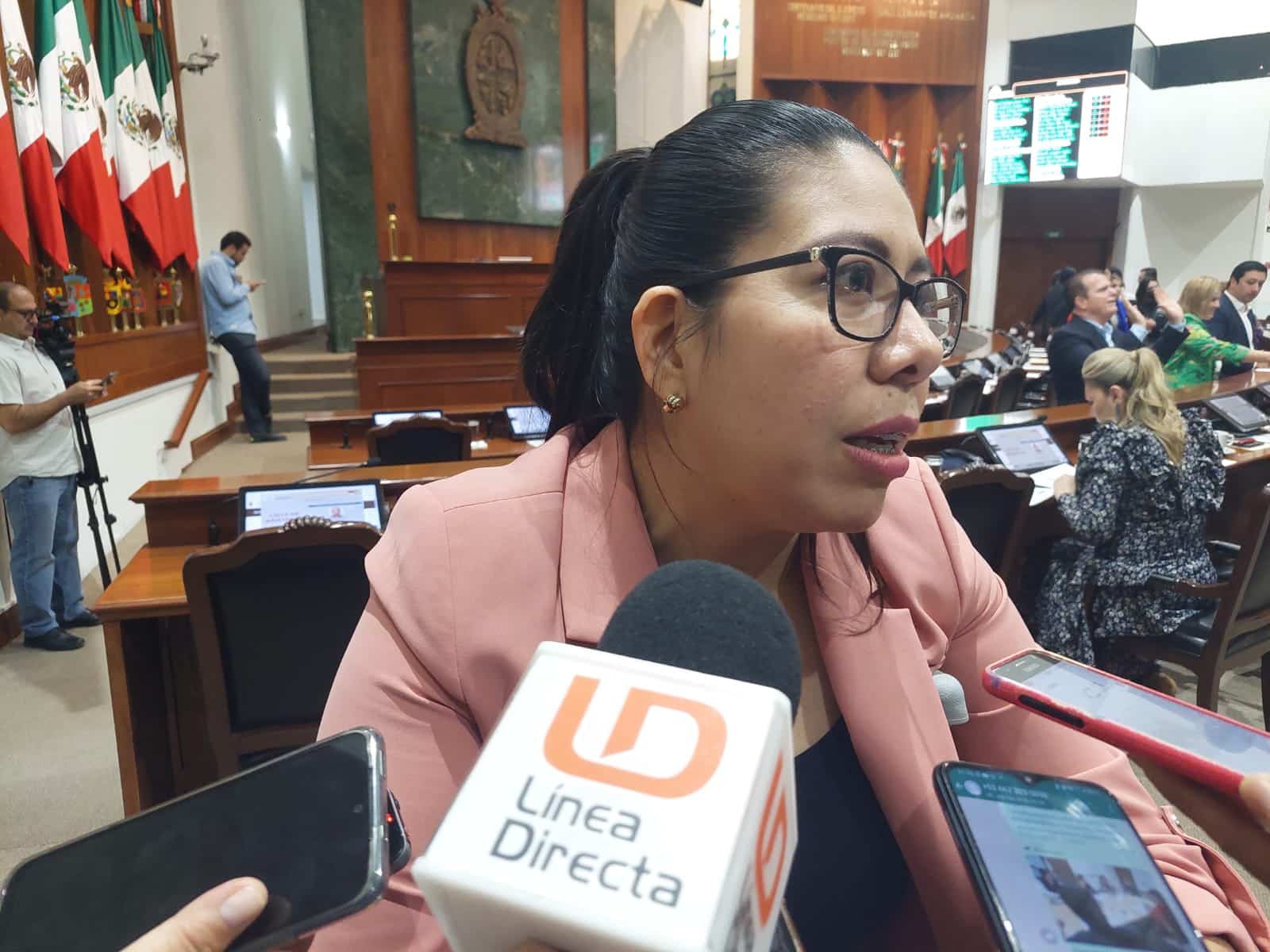 diputada- Deisy-Judith-Ayala-Valenzuela