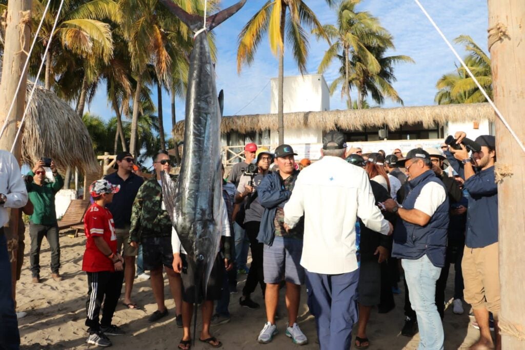 pesca Billfish en Altata 