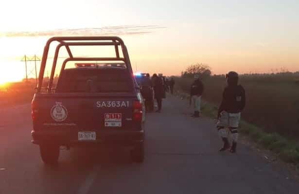 Arrollado México 15 Guasave