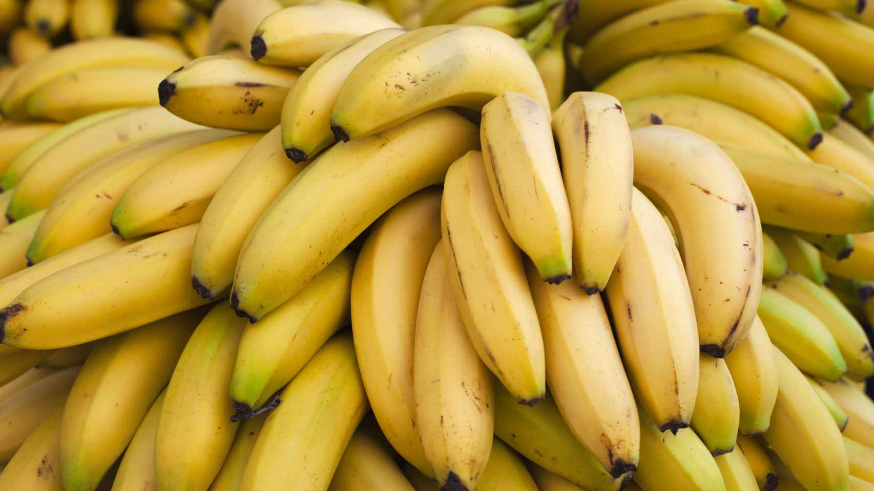 Beneficios y propiedades del plátano para la salud