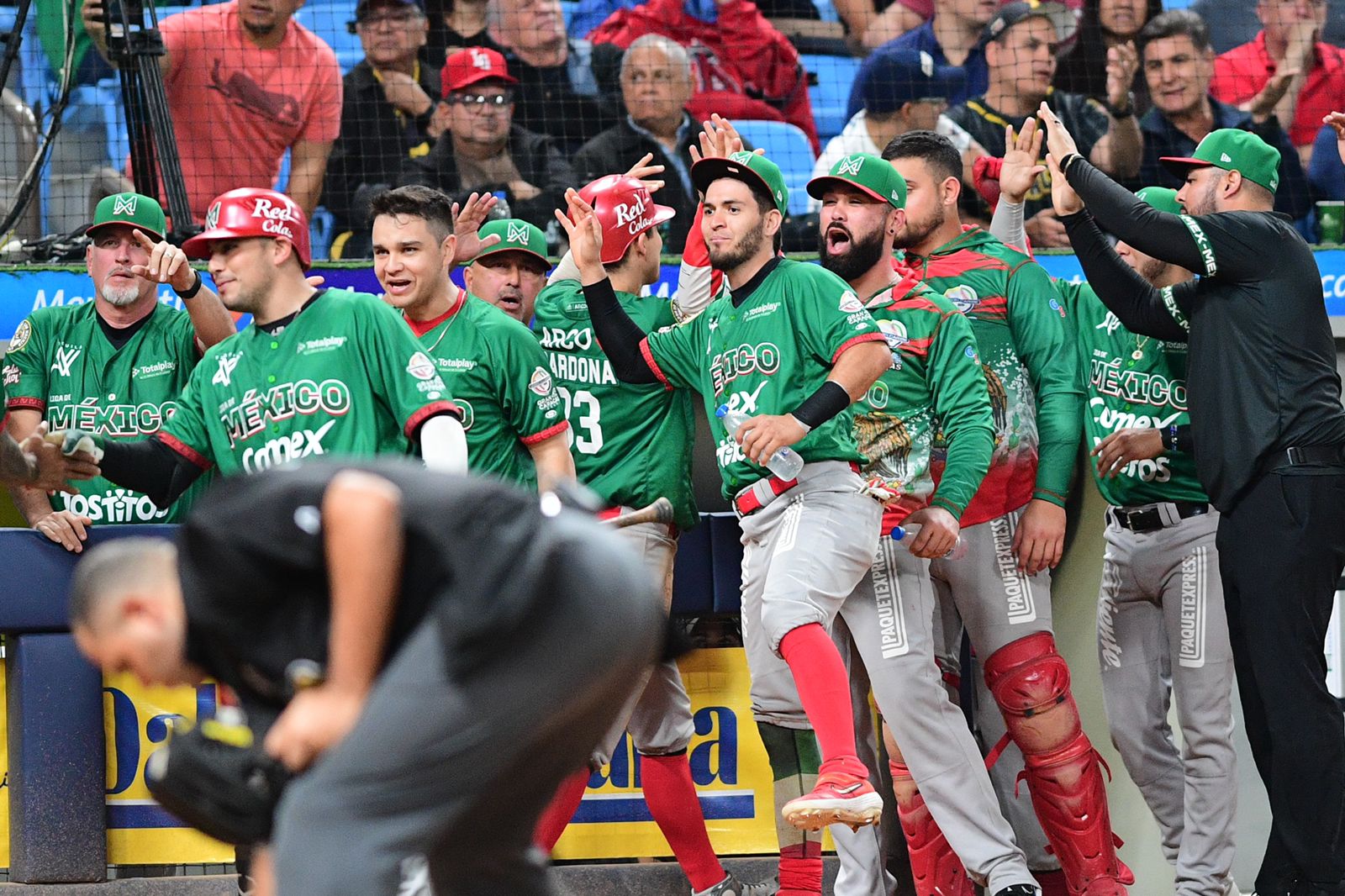 Cañeros Serie del Caribe Gran Caracas 2023