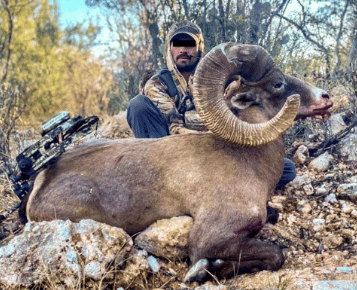Cazador borrego cimarrón Sonora