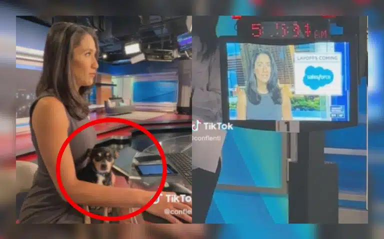 Conductora lleva a su mascota a noticiero en vivo