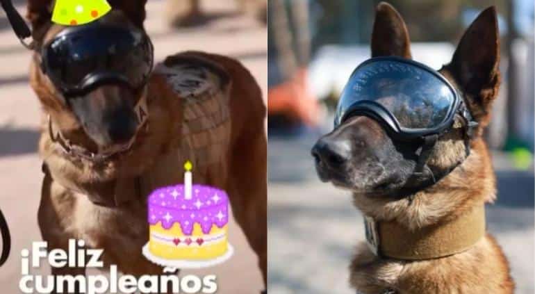¡De manteles largos! Celebran a 