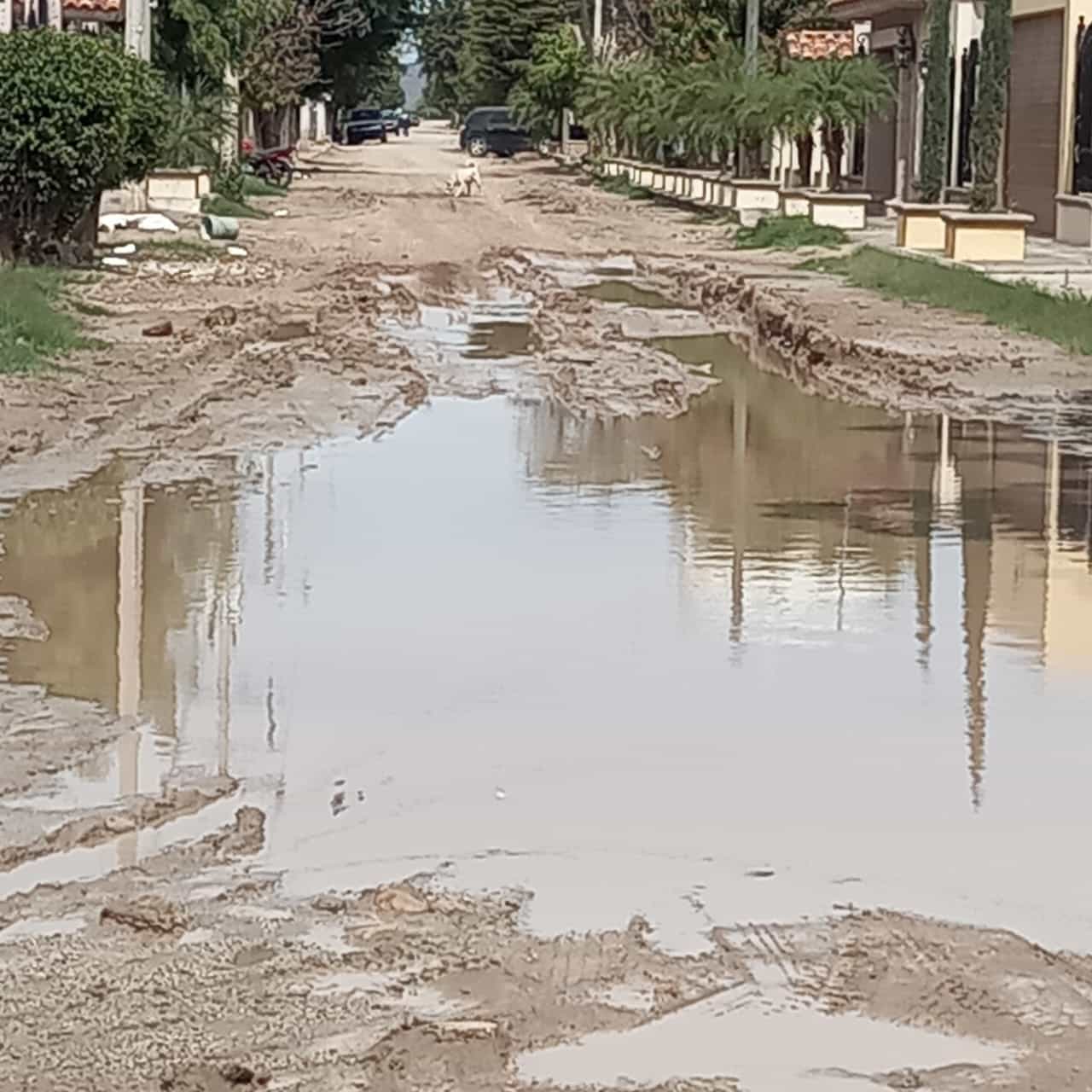 El Mezquite Alto