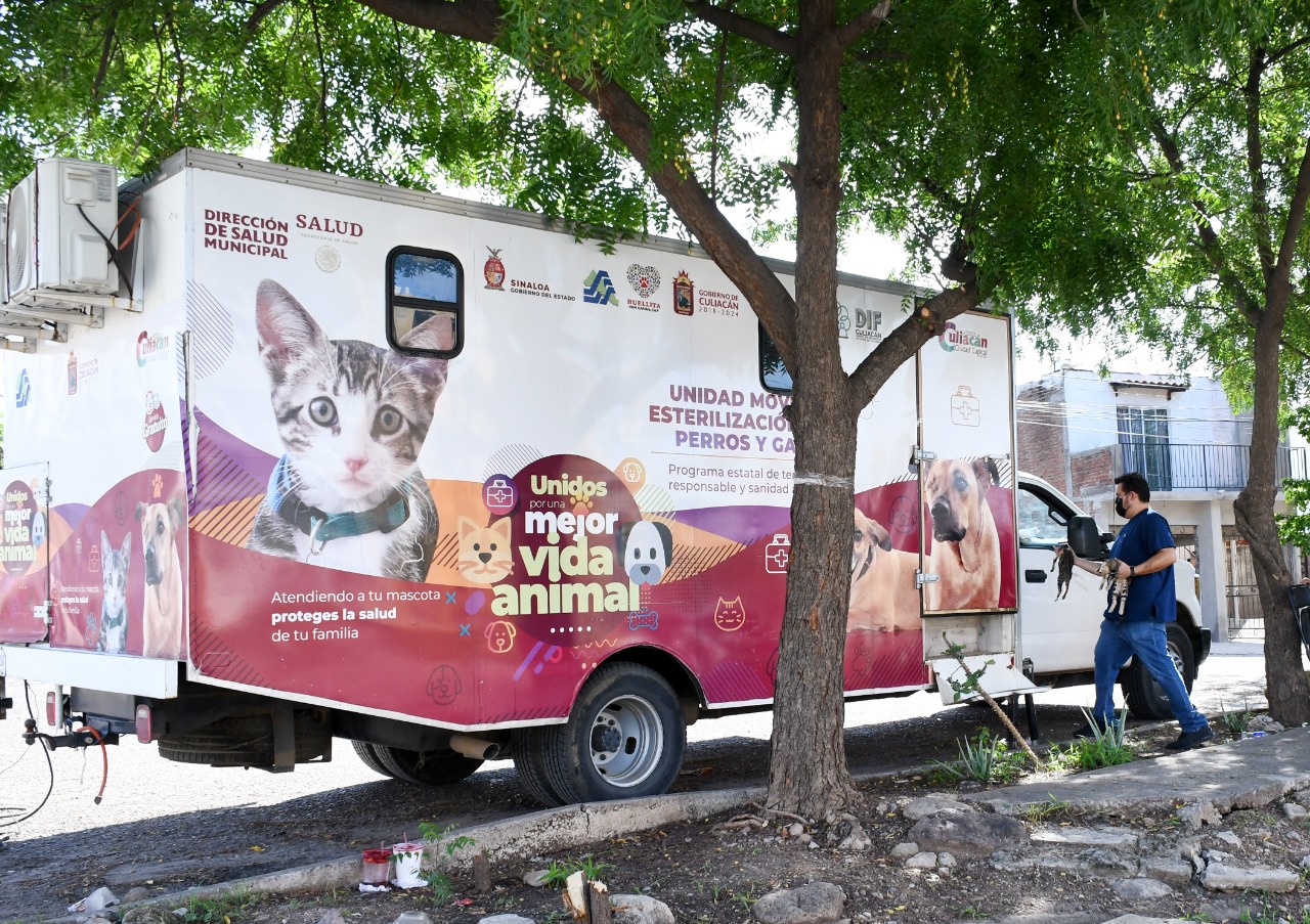 Esterilización mascotas