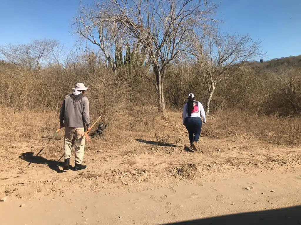 Fosa clandestina en Mazatlán