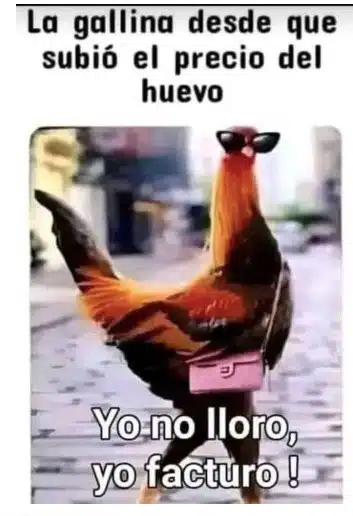 Gallina Precio Huevo