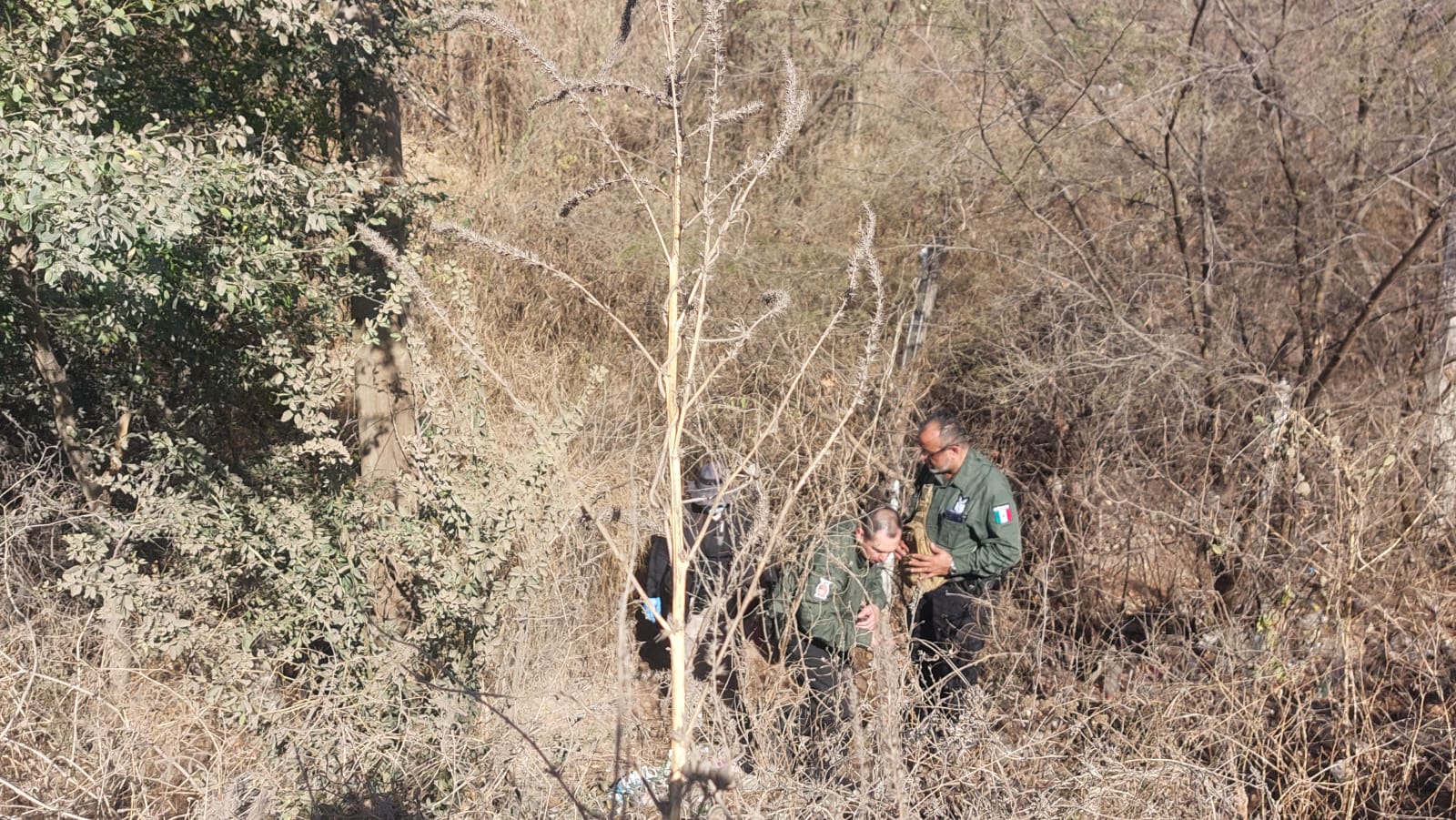 Hallazgo Osamenta Culiacán
