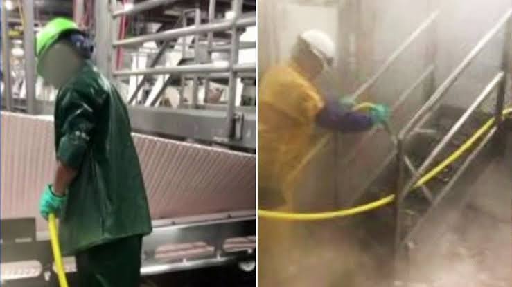 Investigan a empresa de EU por explotación laboral en contra de 100 menores de edad