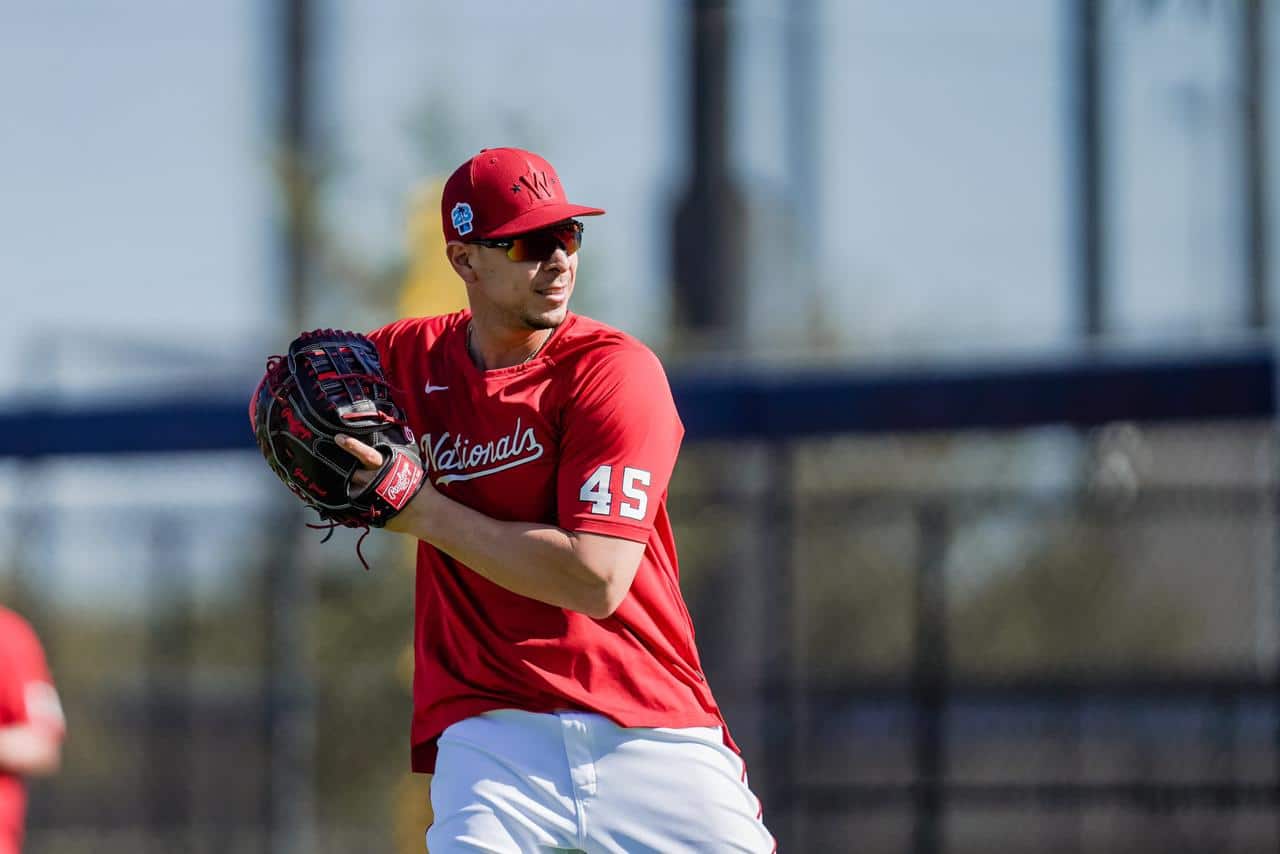 Joey Meneses MLB