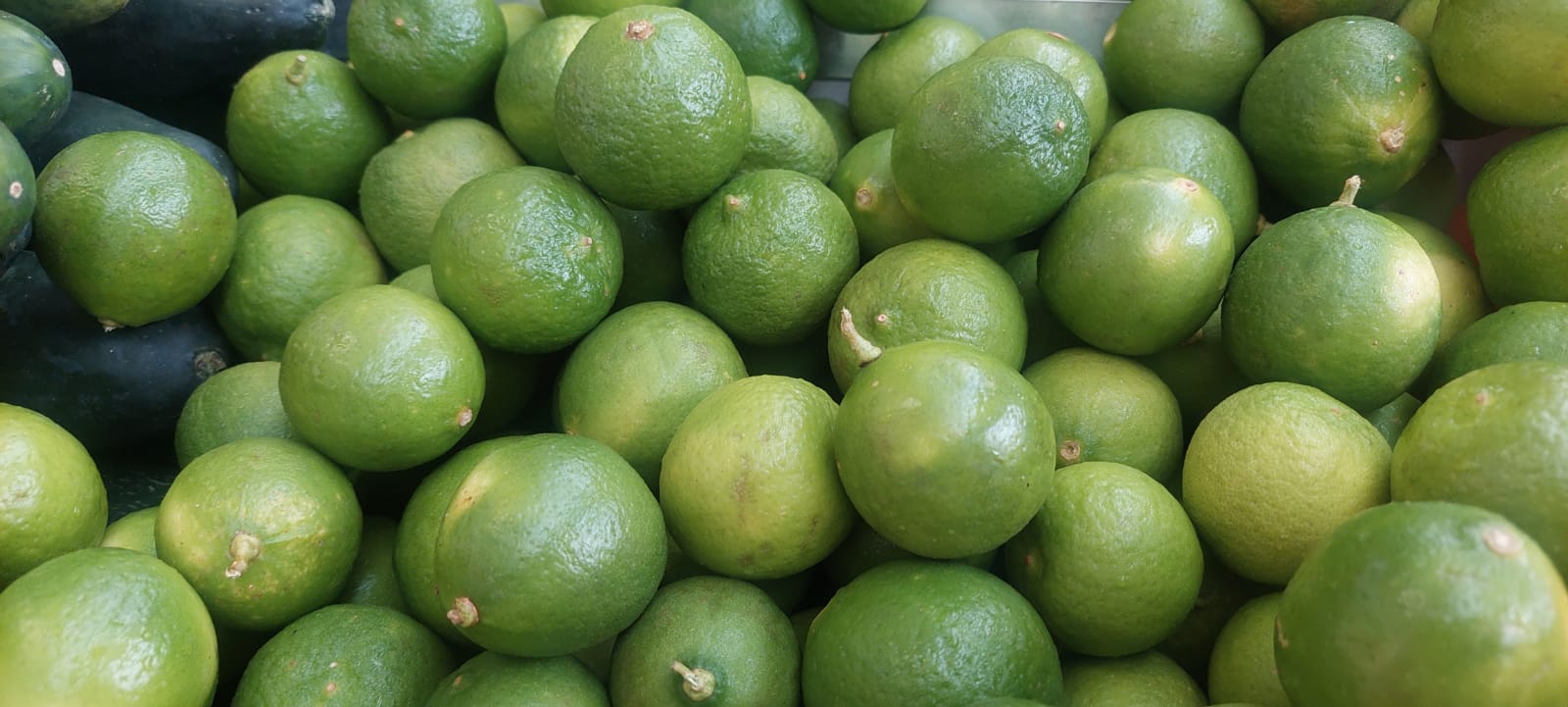 LIMÓN