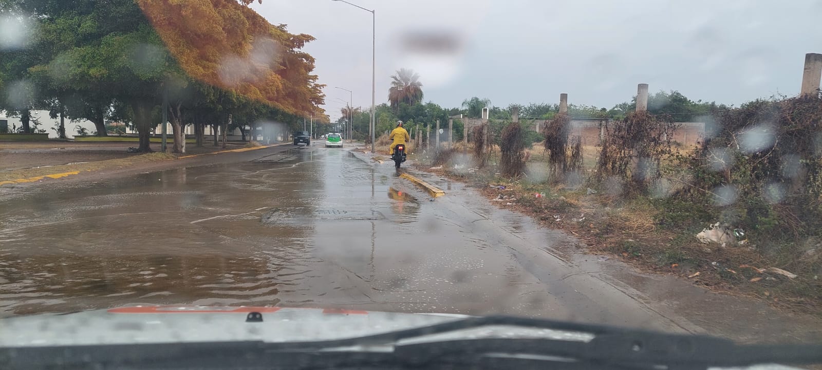 Lluvias Guasave