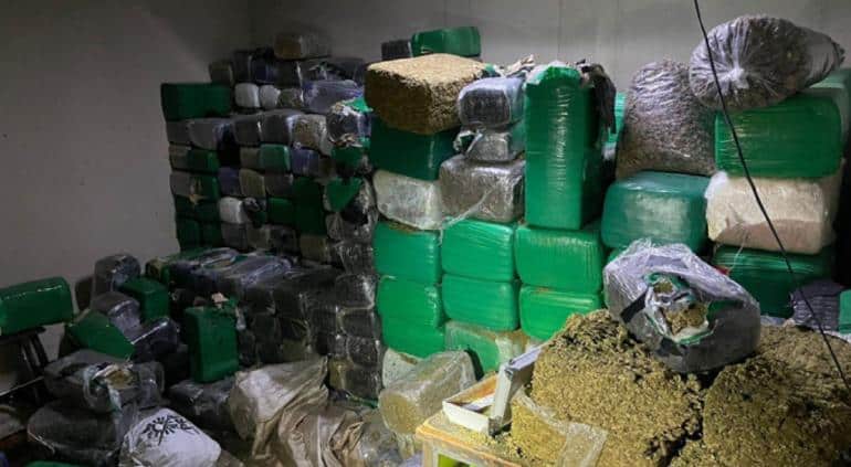 Guardia Nacional y Sedena decomisan narcobodega en Tijuana; había 1.8 toneladas de mariguana