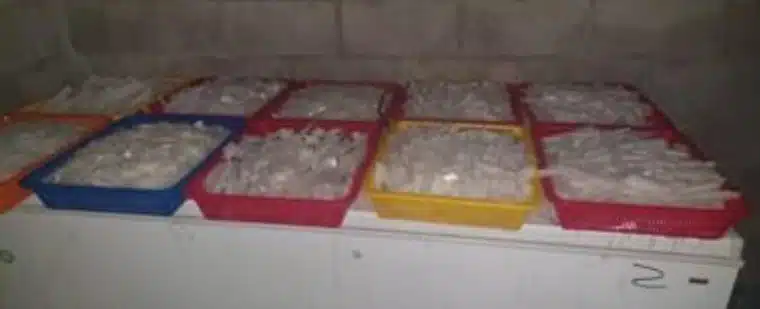 Ejército asegura 1 tonelada de metanfetamina en Cedritos, Cosalá