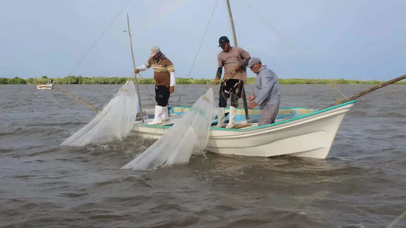 Pesca Sinaloa Pescadores