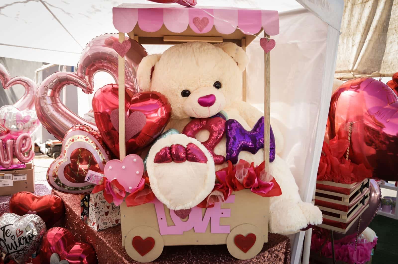 Regalos San Valentín 14 de Febrero Culiacán (1)