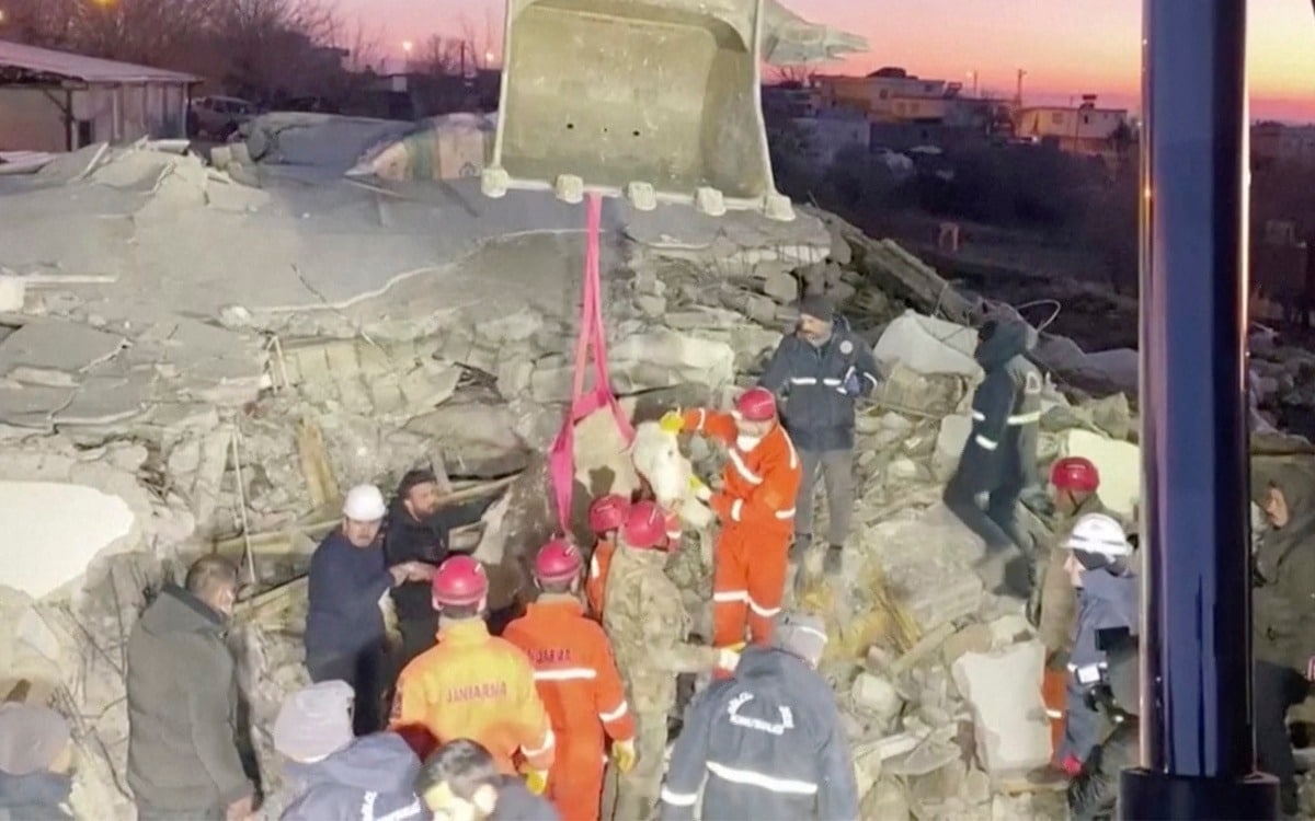 Rescatan a vaca atrapada tras terremoto en Turquía