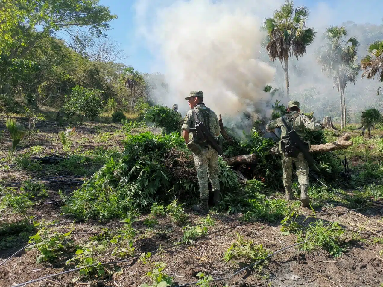 Sedena Operativos Sur Sinaloa