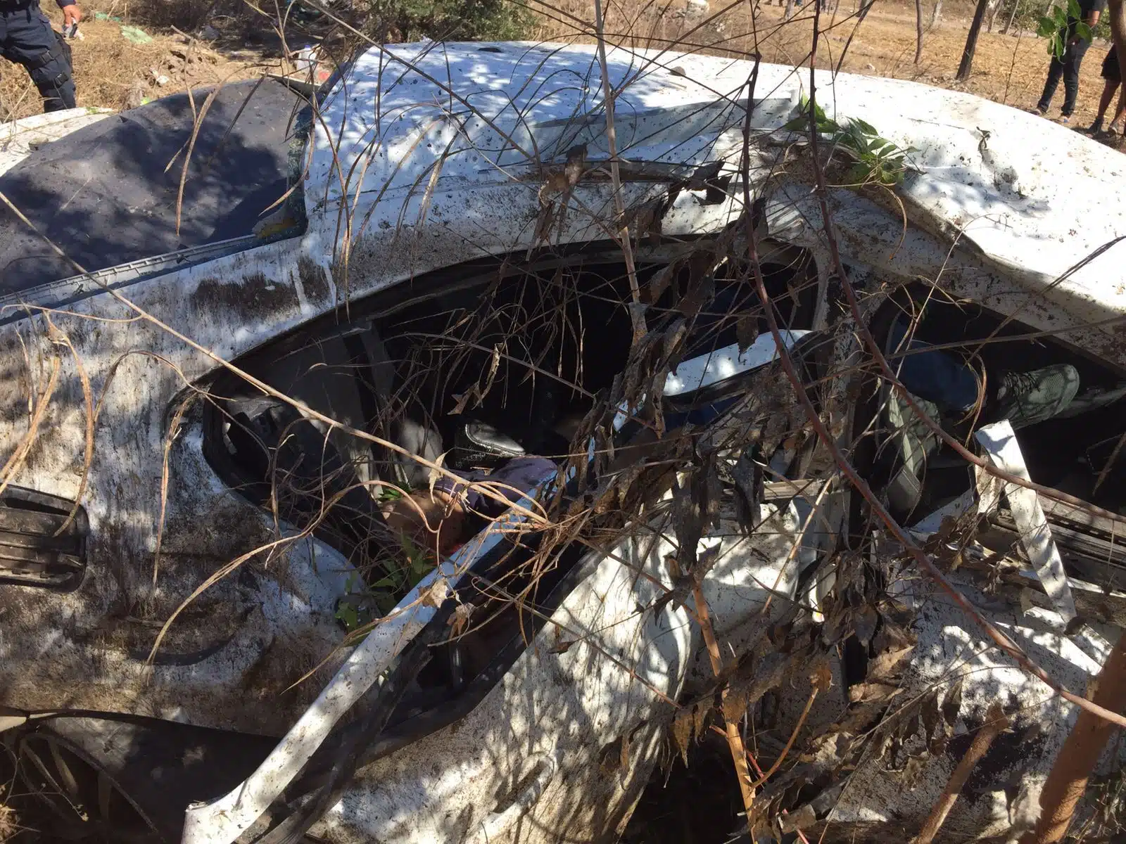 Tren Deceso Maestras El Rosario Trenazo Policíaca