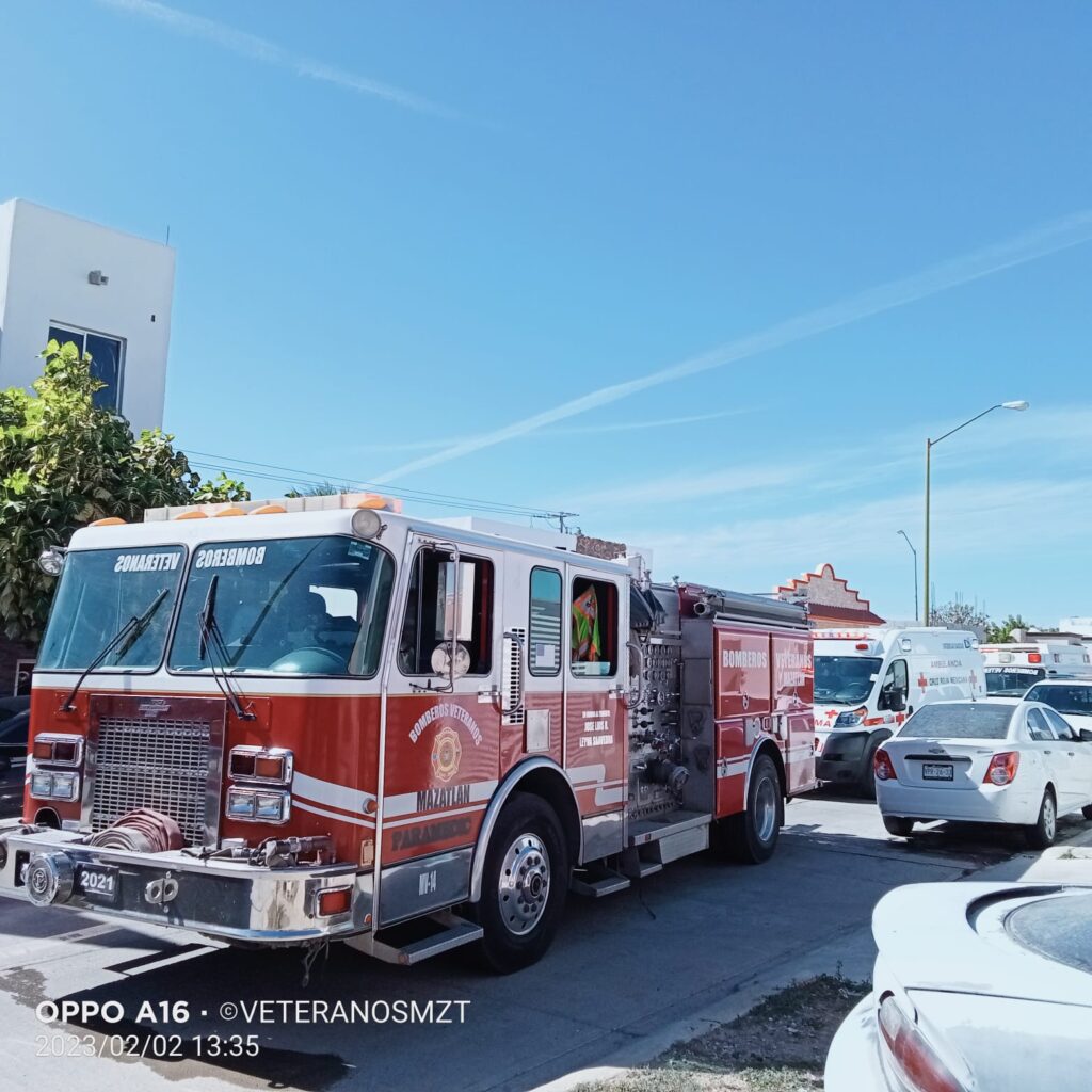 ¡Rescate de lomitos! Bomberos salvan de morir quemados a cinco perritos en Mazatlán