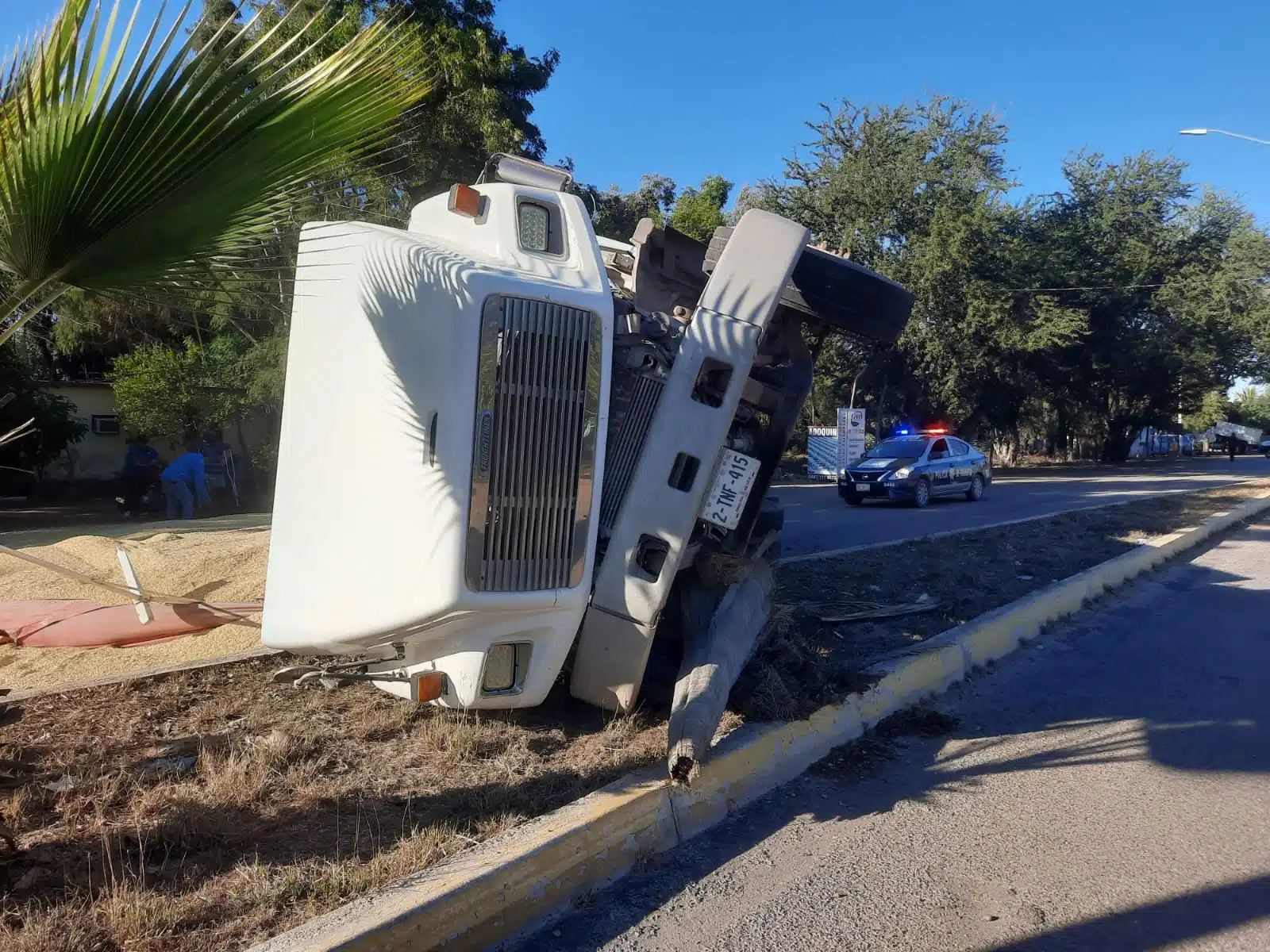 ¡Carga ladeada! Se vuelca don Morgan con torton cargado con toneladas de maíz en Guasave